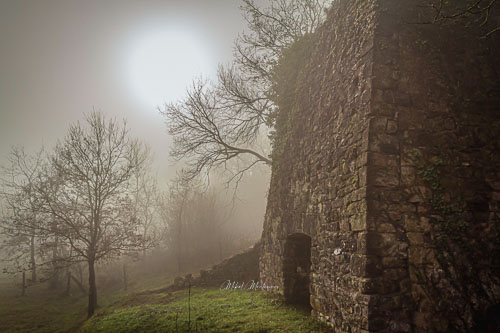 Una fotografía con cierto aire tétrico. En este contraluz se ve el sol de frente, en un día de niebla de una calera (se parece bastante a un mini castillo) en el puerto de Urbasa los pequeños arboles con ramas retorcidas de encima de ella consiguen darle un punto bastante misterioso.