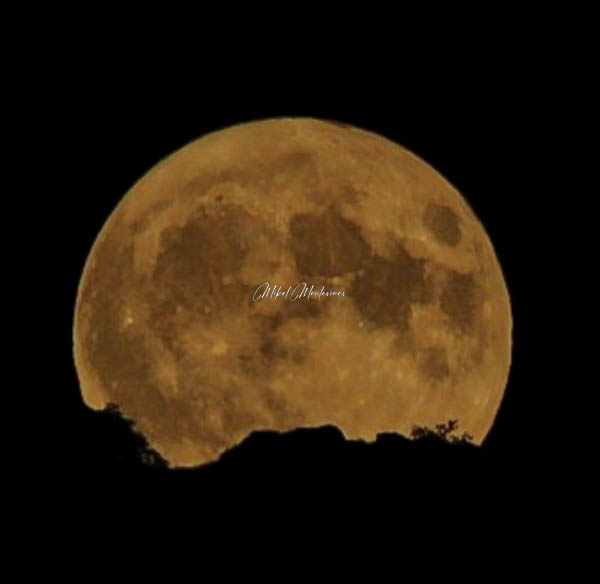 En esta foto en la parte central se ve una gigantesca Superluna casi ya saliendo del todo desde detrás de la Sierra de Urbasa. Pueden verse también la silueta de los grandes arboles de la sierra.